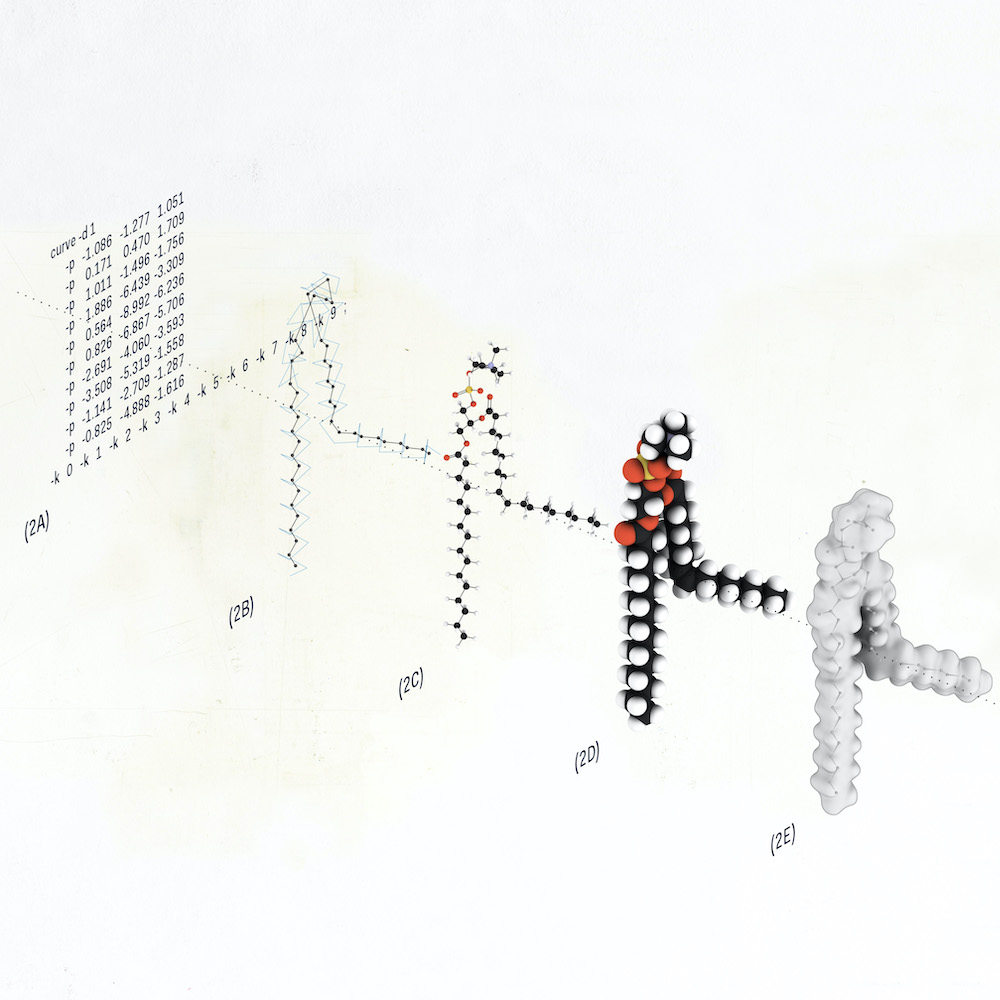 ComputationalLipidomicsAndBioinformatics